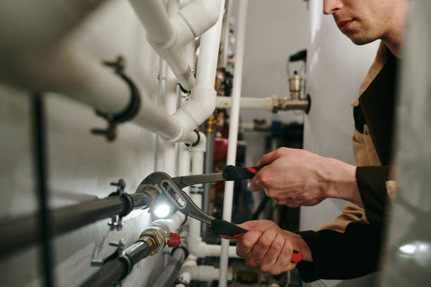Best Clogged Drain Plumber  in Ridgely, MD